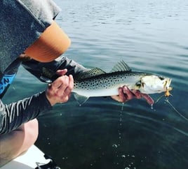 Punta Gorda Fly Fishing Trip