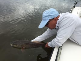 Punta Gorda Fly Fishing Trip