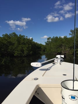 Punta Gorda Fly Fishing Trip