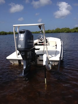 Punta Gorda Fly Fishing Trip