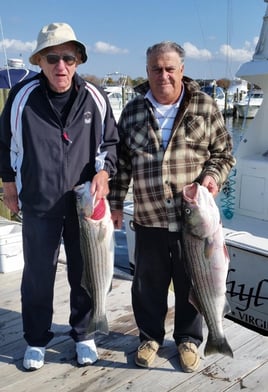 Inshore fishing Trip