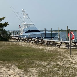 Inshore fishing Trip