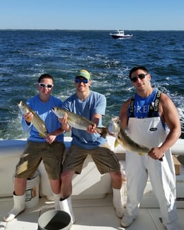 Inshore fishing Trip