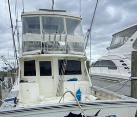 Inshore fishing Trip