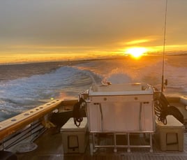 Inshore fishing Trip