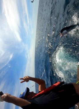 White Marlin - 8 Hour Trip 