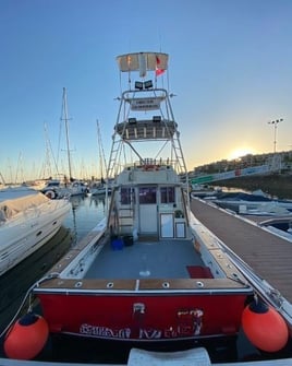 White Marlin - 8 Hour Trip 