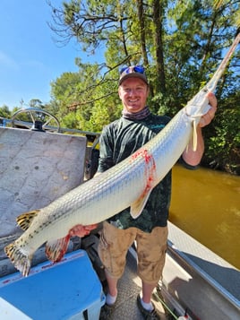 "Alpha" Alligator Gar Bowfishing