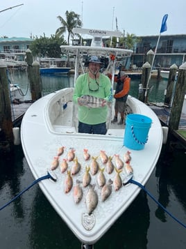 4 hr offshore or reef trip