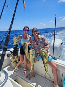 4 hr offshore or reef trip