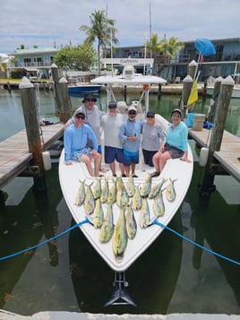 4 hr offshore or reef trip