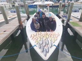 4 hr offshore or reef trip