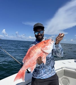 6 Hour Trip – Red Snapper 