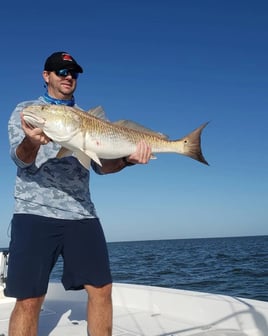 Inshore and Nearshore Fishing