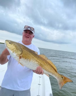 Inshore and Nearshore Fishing