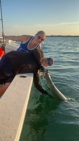 4-6 Hour Trip - Tarpon