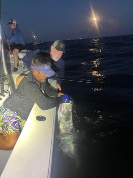 4-6 Hour Trip - Tarpon