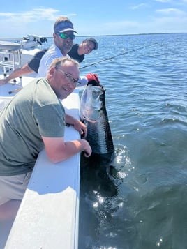 4-6 Hour Trip - Tarpon