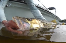 Fly Fishing Boca Grande