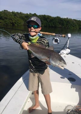 Fly Fishing Boca Grande