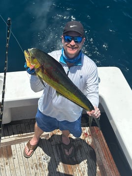 Fish the Retribution