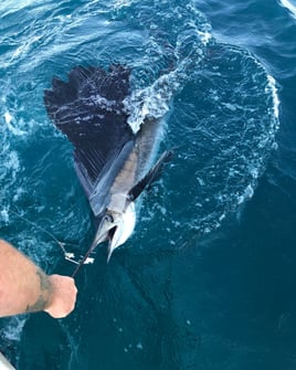Treasure Coast Offshore