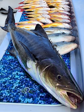 Treasure Coast Offshore