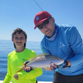 4-6 Hour Trip – Bottom Fishing