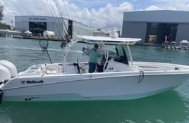 4-6 Hour Trip – Bottom Fishing