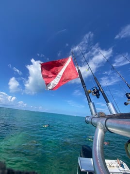  sand bar & Snork adventers