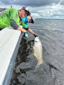 Charlotte Harbor Tarpon Fish