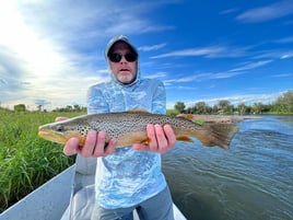 Green River Full Day Floats