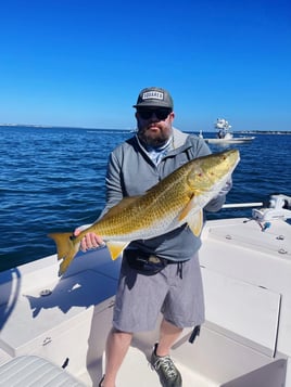 Inshore Fishing Trip