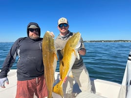 Inshore Fishing Trip