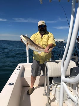 Inshore Fishing Trip