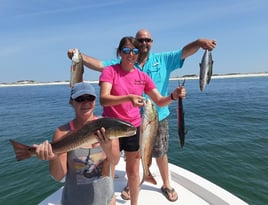 Inshore Fishing Trip