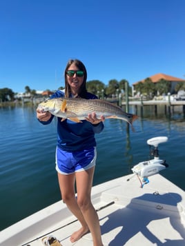 Inshore Fishing Trip