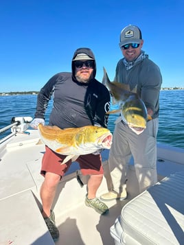 Inshore Fishing Trip