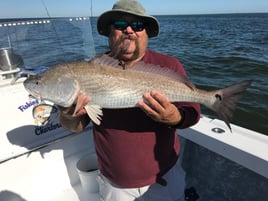 Inshore day of fishing.