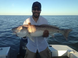 Inshore day of fishing.