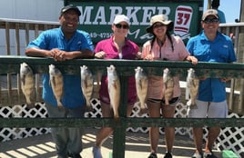 Inshore day of fishing.