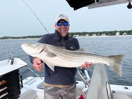 Reel In The Memories