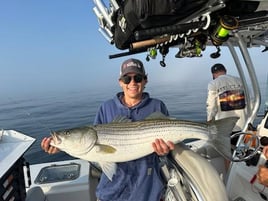 Reel In The Memories