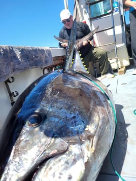 Giant Bluefin Tuna 8 Hour Trip