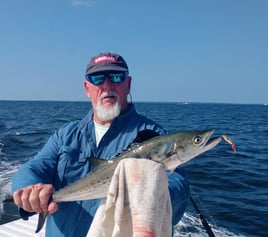 3/4 Day Trip–Cobia/Mackerel