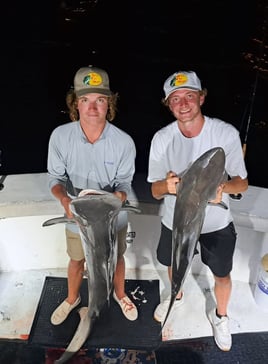 Shark Fishing