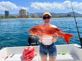 Fishing trips full day 