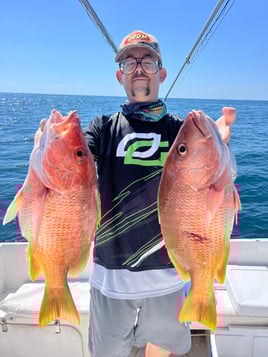 Fishing trips full day 