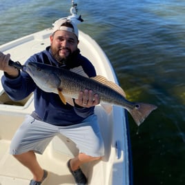 4-6 Hour Inshore Trip