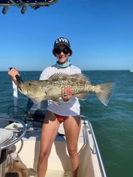 4-6 Hour Nearshore Trip